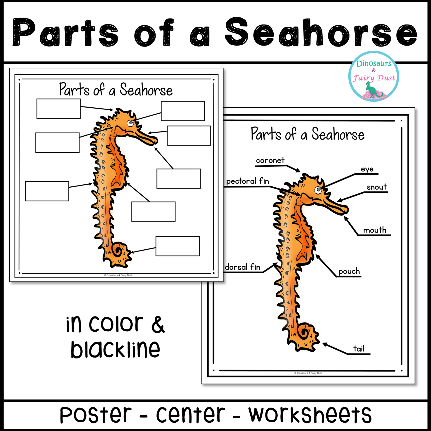 Parts of a Seahorse Labeling Activity
