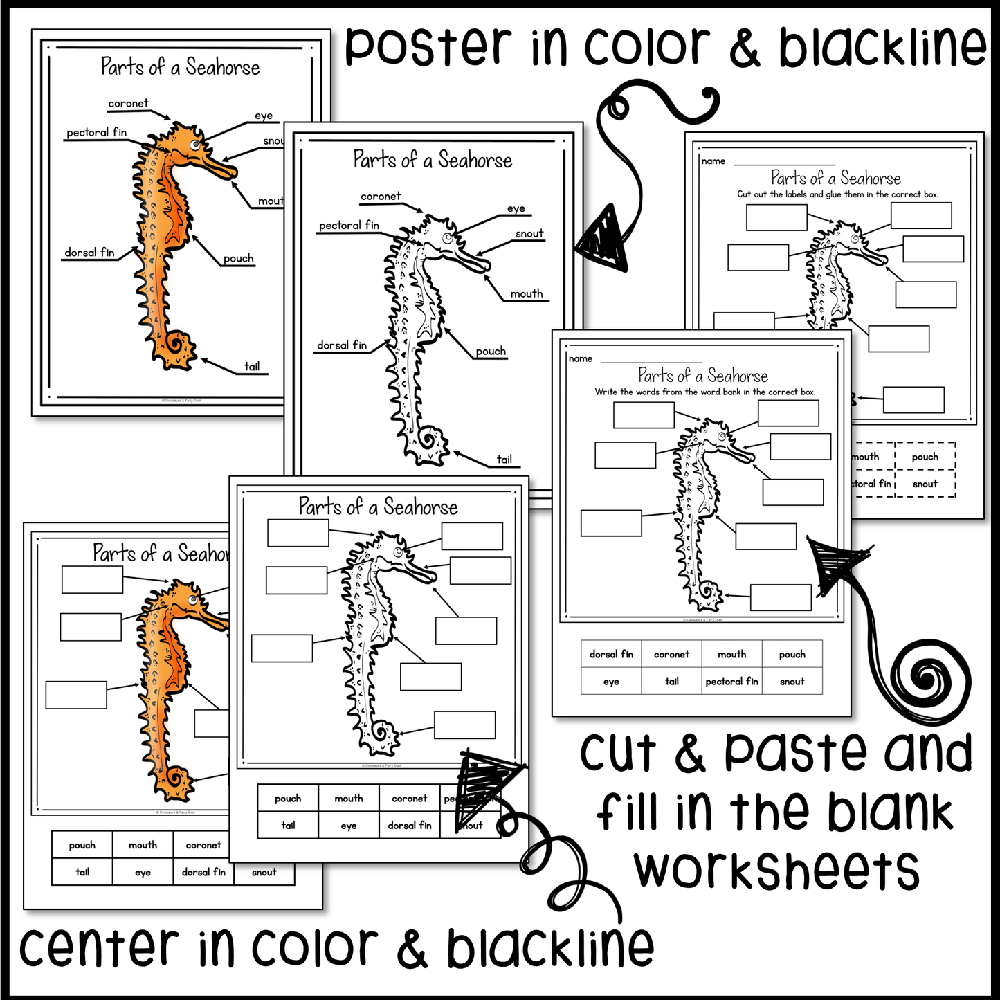 Parts of a Seahorse Labeling Activity