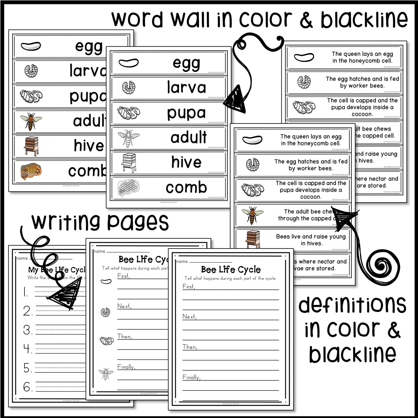 Bee Life Cycle Activities