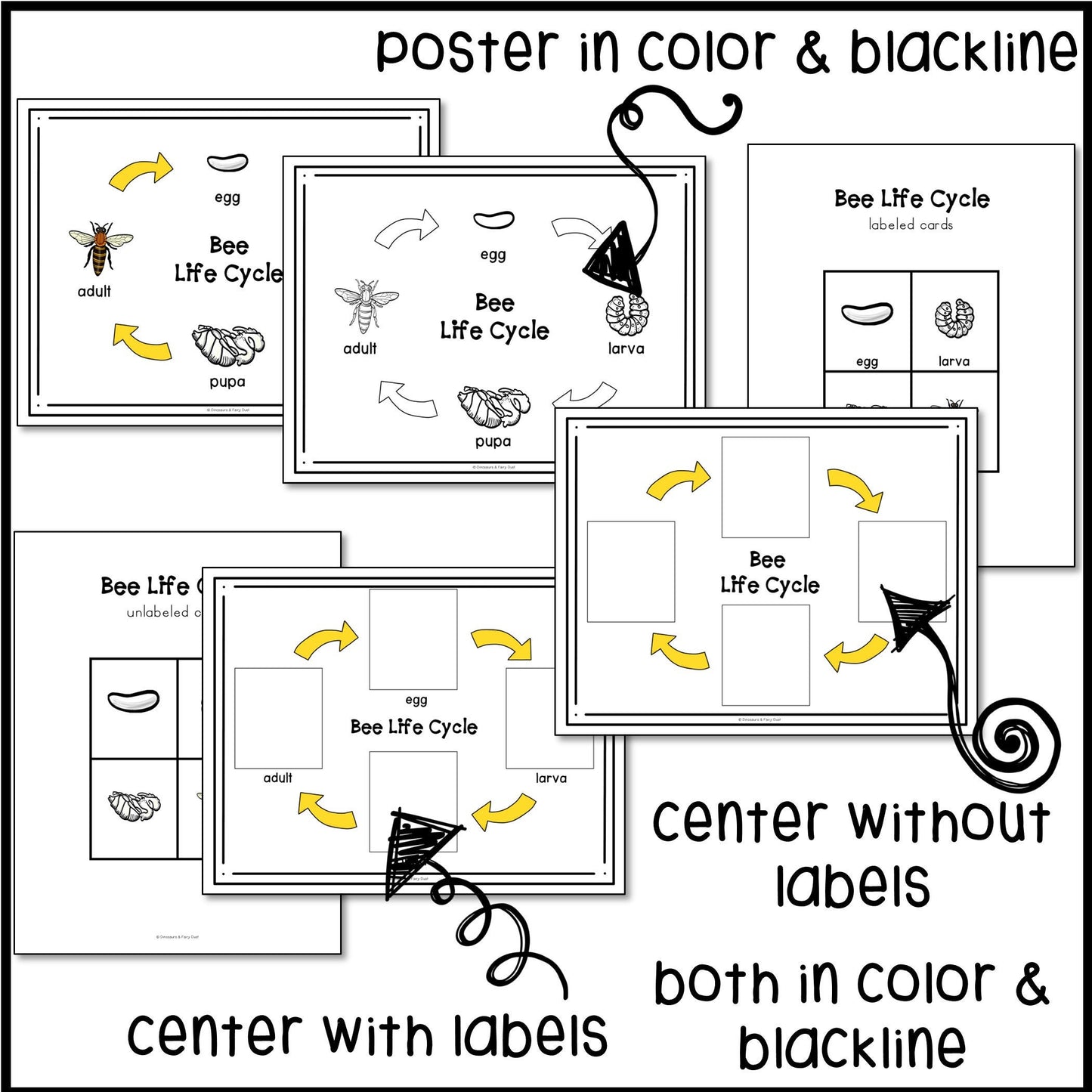 Bee Life Cycle Activities