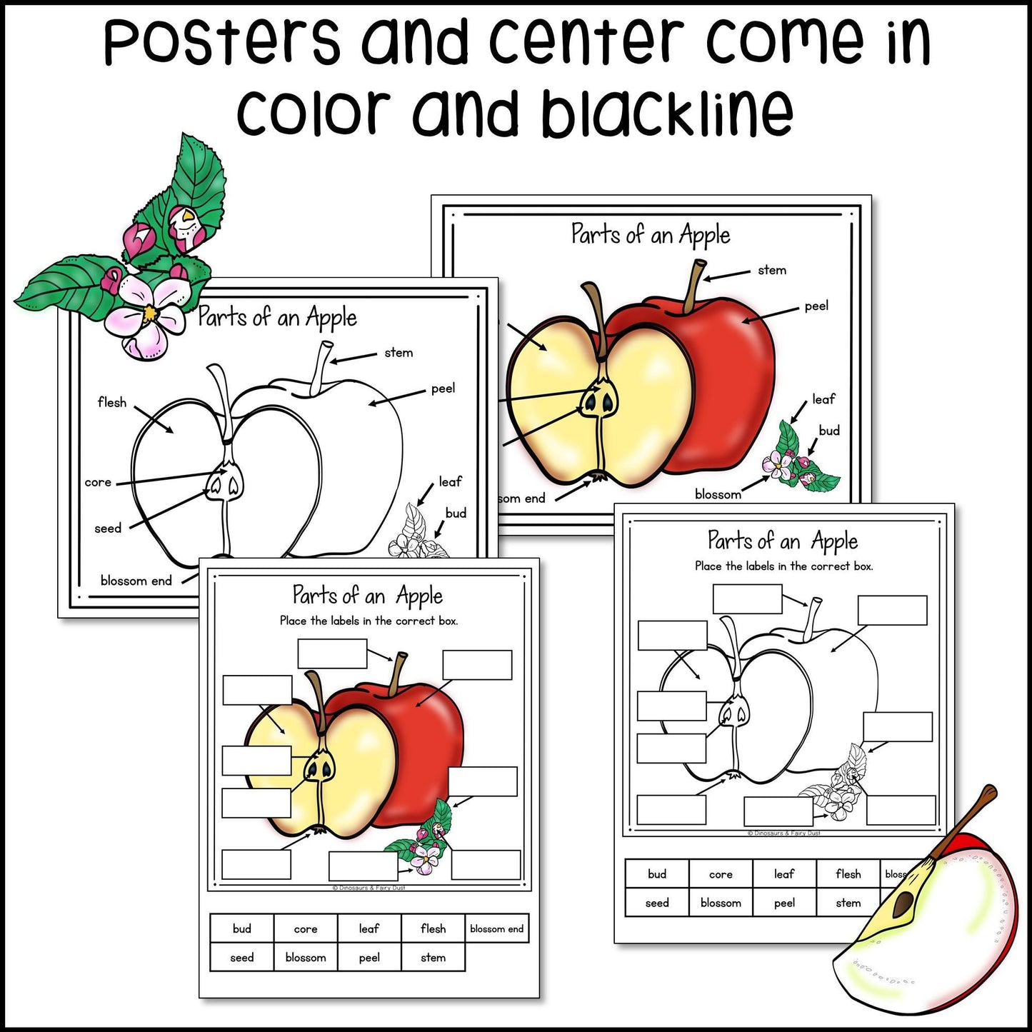 Parts of an Apple Labeling Center and Activity