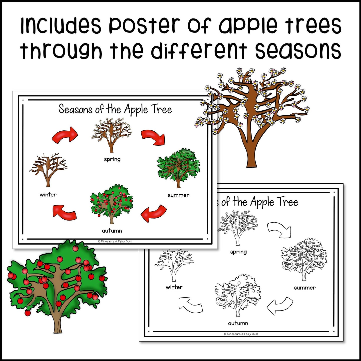 Parts of an Apple Labeling Center and Activity