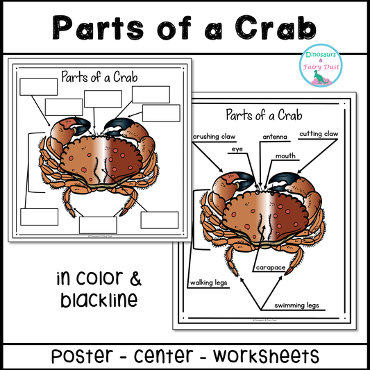 Parts of a Crab Labeling Activity