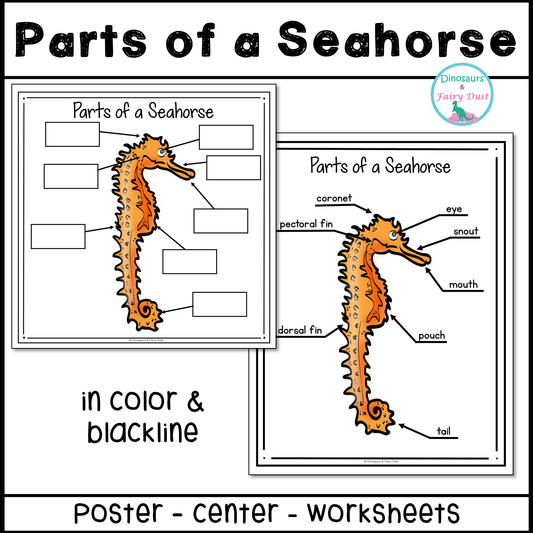 Parts of a Seahorse Labeling Activity