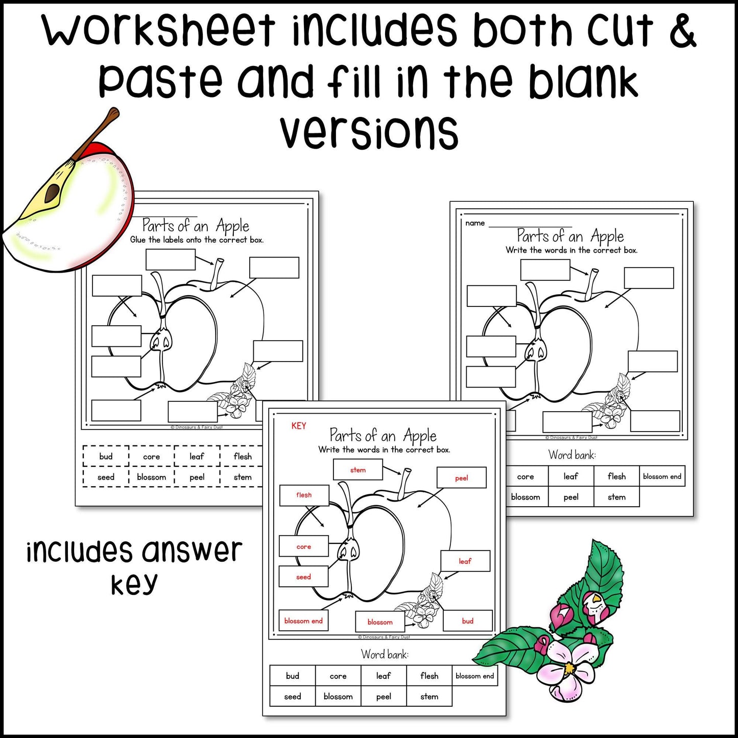 Parts of an Apple Labeling Center and Activity