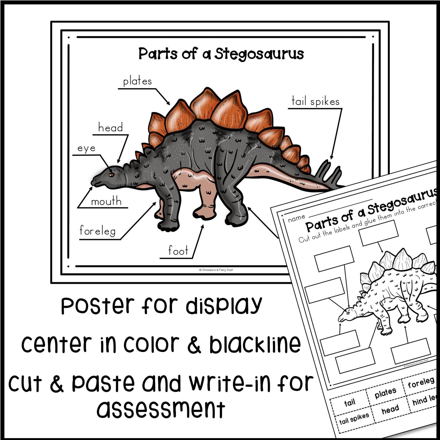 Parts of a Stegosaurus Labeling Activity